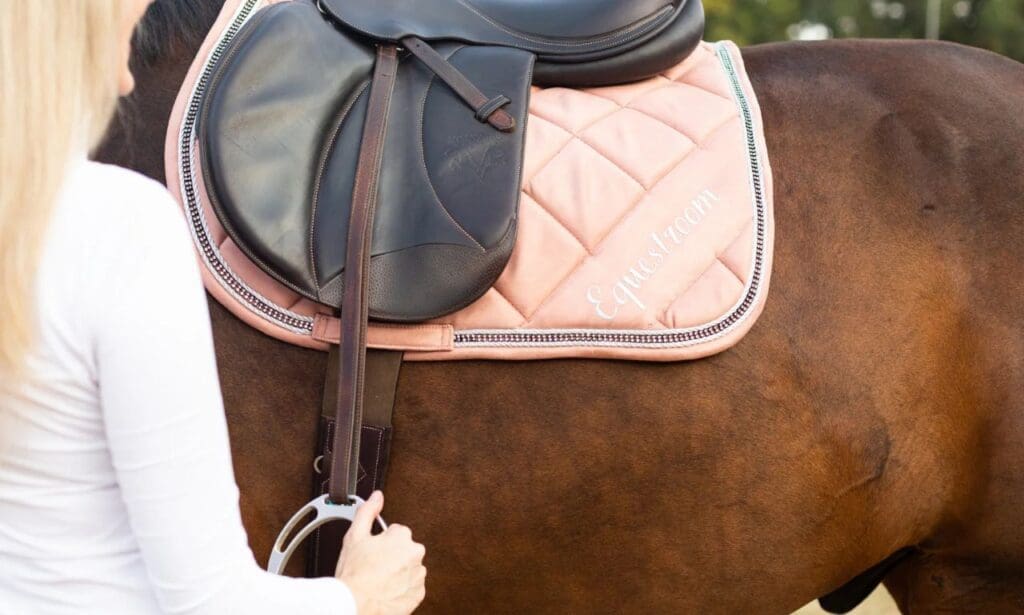 Essential Tack Cleaning Supplies and Their Uses